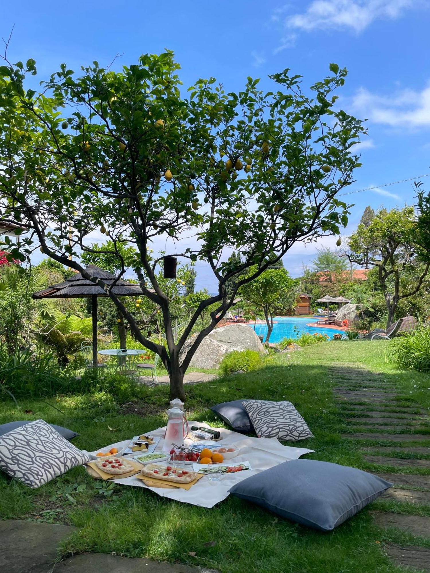 SantʼAndrea Hotel Cernia Isola Botanica מראה חיצוני תמונה